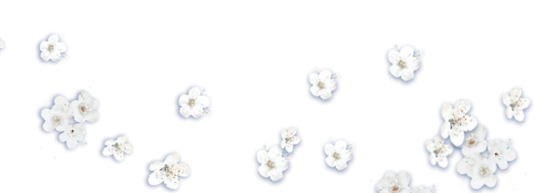 White Flowers Cutout